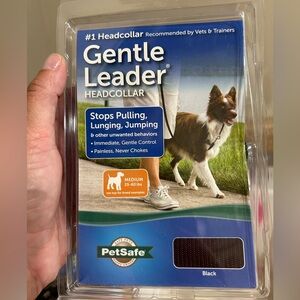Gentle Leader Dog lead